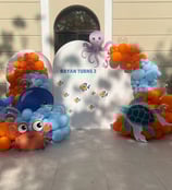 birthday decoration, wedding decoration, event decoration