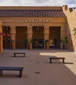 Netflix Egyptian Theatre Hollywood Movie