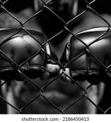 MMA Saint maur
