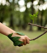 Sustainable and eco-friendly products sourced and exported by Balki International