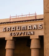 Netflix Egyptian Theatre Hollywood Movie