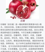 a picture of a pomegranatent with chinese characters
