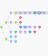 a diagram of a tree with a bunch of different colored circles