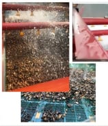a bunch of different types of seeding and seeding