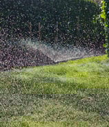 a sprinkler sprinkles in the grass