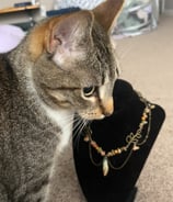 tabby cat sitting in front of a black necklace holder, necklace has leaf motif, stones, draped chain