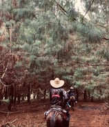 Persona cabalgando por hermosos paisajes en el lago calima