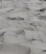Sable