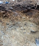 Soil Evaluation