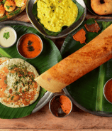 Traditional South Indian cuisine by Zayka Caterers, featuring Uttapam, dosa, sambar, and chutney.