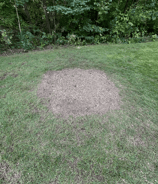Removing a tree stump to improve yard safety and appearance in Vaudreuil