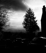 A tree and building silhouetted against a rainy looking sky on Morningside Road, Edinburgh
