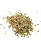 High-quality Turkish Fennel Seeds for bulk buyers and importers