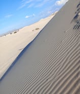 DUNAS EN EL DESIERTO DE CHIHUAHUA