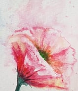 Impressionist flower, creates its own melody, soft and gentle like a cool summer breeze