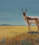 A soulful watercolor of a pronghorn antelope standing in golden prairie grass