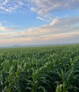 Crédito Agroindustria