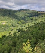 woodland view in calderdale west yorkshire