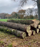 vente de bois