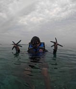 Karimunjawa Island