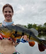 I caught a peacock bass