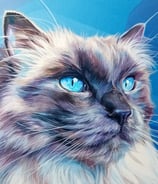 a portrait of a long haired cat with blue eyes