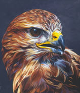 A painting of a buzzard against a stormy grey sky