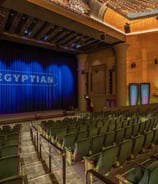 Netflix Egyptian Theatre Hollywood Movie