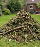 Yard debris cluttering up a lawn.