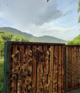 due melari messi in verticale con il favo che spunta tra i telaietti di legno, con arcobaleno dietro