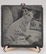Hund auf einem Sofa, gibt Fötchen, Bild ist auf einer Schieferplatte, monochrome Farbe