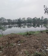 Pond 