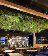 plantes végétales déco restaurant