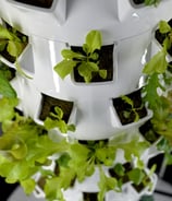 a planter with plants growing in a potted hydroponic tower