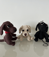 cagnolini