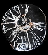Detail of a petrified Wood Side table