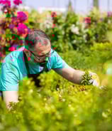 Garden Designers’ professional providing tailored green space solutions during a consultation