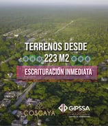 Cosgaya merida