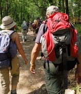Transferts de bagages entre hébergements, idéal randonneurs.