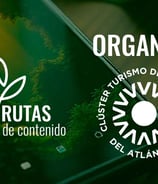 Curso práctico de marketing digital para turismo
