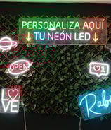 Viziona-Neones-alicante-juan pablo roa patiño