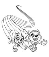 Kleurplaat van PAW Patrol Everest en Skye