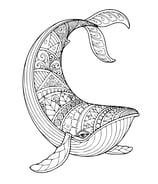 Mandala kleurplaat van een walvis