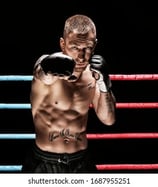 Boxe anglaise saint maur