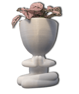 Pots de fleur blanc