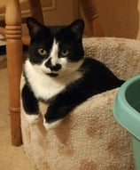 Hugo leaning against the side of a soft bed with his legs dangling out