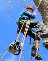 a man in a helmet is climbing up a tree