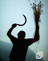 a man holding a large piece of hay with a knife in his hand
