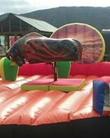 BULL RENTALS IN GREENVILLE