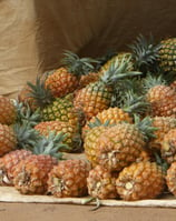 Ananas bio par NIMBA AGRO BUSINESS.